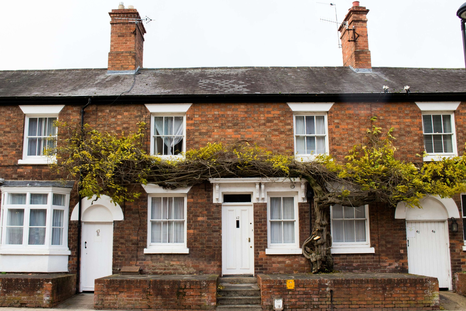 Manchester terraced houses